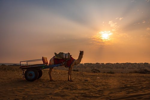 Jodhpur to Bishnoi Village distance 1