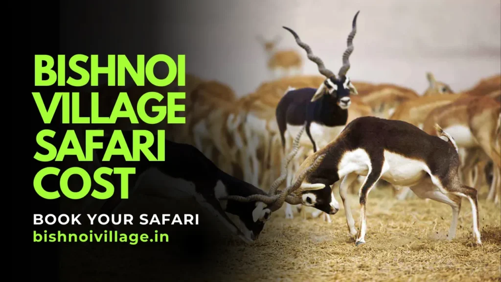 Bishnoi Village Safari cost, Bishnoi Village tour price